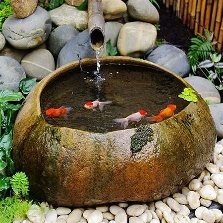 戶外養魚|室外養魚、庭院養魚，可以選擇什麼品種的觀賞魚？